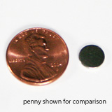 Disc Magnet 5/16" x 1/32" - Set of 2