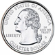 Expanded Quarter Shell Coin Expanded Quarter Shell Coin
