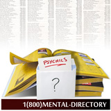 Mental Directory - A REALLY Big Book Test
